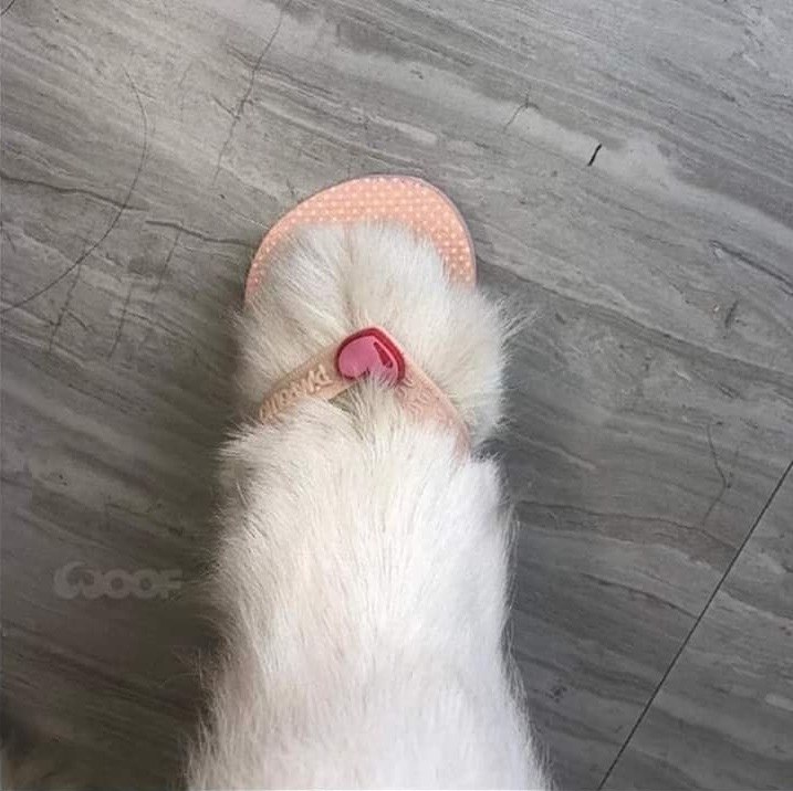  -    - 3