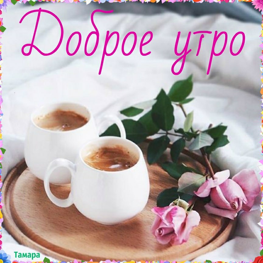   ,    . - 28  2020  00:00 - 8