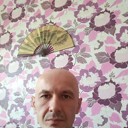 ���� ������, ���������, 48 ��� - ��������� 26 ������� 2020