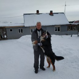 ���� ����, ������������, 68 ��� - ��������� 15 ������� 2021