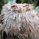 ���� ������, �������� - ��������� 2 ������� 2020 � ������ ������ ��������