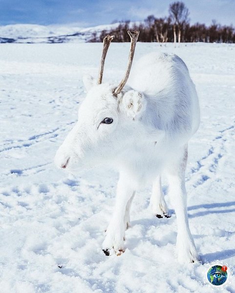 ae e oe a oe cea, ope. ope oa a a oee: ceep  ... - 4