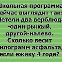 ���� �������, ������, 48 ��� - ��������� 24 ������� 2020 � ������ ���� ����������