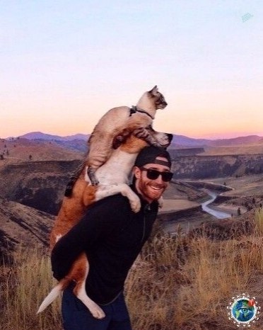 apa eece o p c  co oa! Co e poca! # - 2