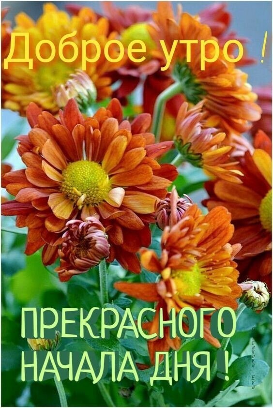   ! - 3  2020  06:15