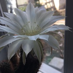 ���� ������, ������ - ��������� 13 ������ 2021