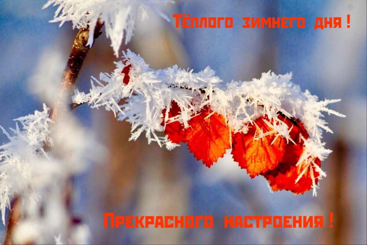   ,    . - 15  2020  01:39 - 6