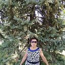 ���� �������, ����� �������, 72 ���� - ��������� 13 �������� 2020 � ������ ���� ����������