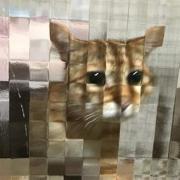    - 7