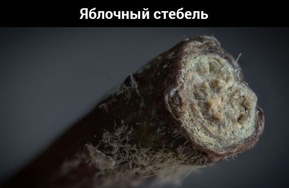 Будет интересно увидеть, как выглядят привычные для нас вещи под микроскопом: