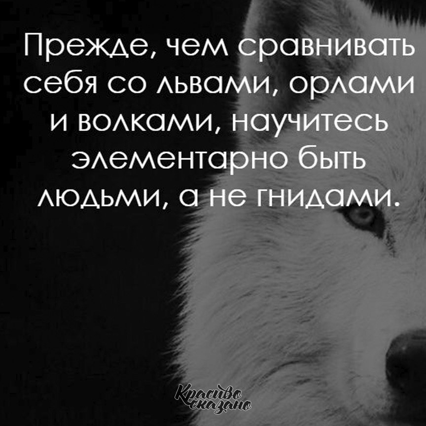   . . . - 24  2020  21:43