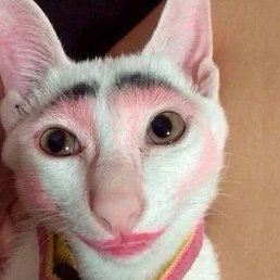 ****, ������, 85 ���