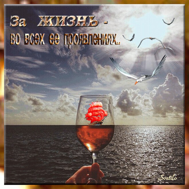  - 24  2021  08:00