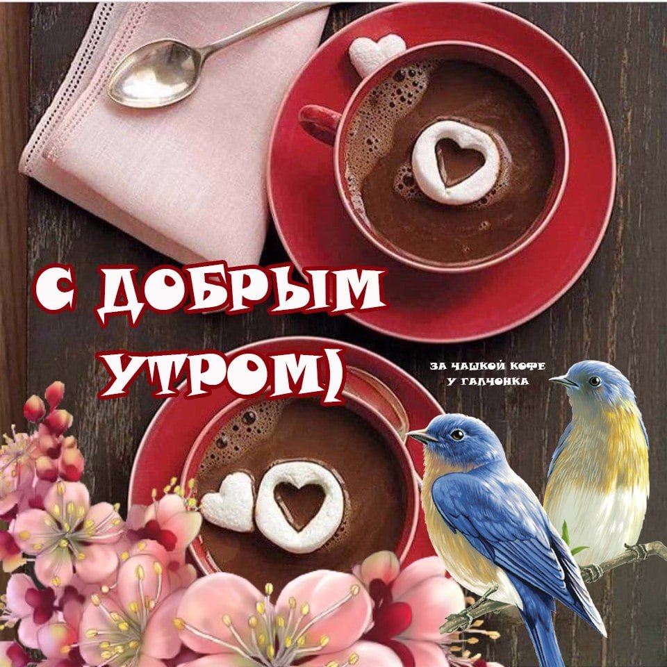   ,    . - 21  2021  23:31 - 7