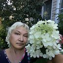 ���� �������, ������, 69 ��� - ��������� 9 ������ 2020 � ������ ���� ����������