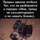 ���� �������, ������ - ��������� 15 ����� 2021 � ������ ������ ��������