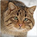 ���� Mike, ������������, 39 ��� - ��������� 18 ������� 2020 � ������ ���� ����������