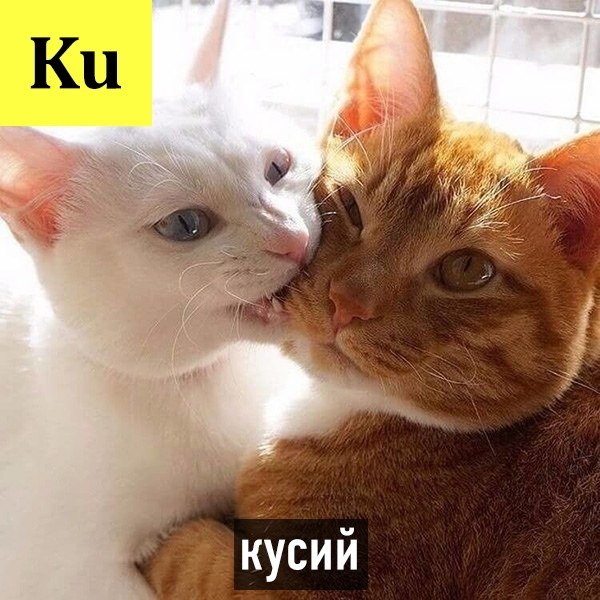   -