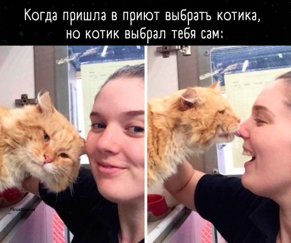      ?   ?