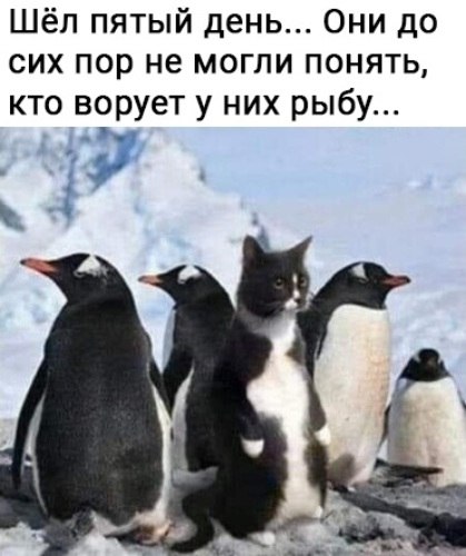   ! - 9  2020  18:25