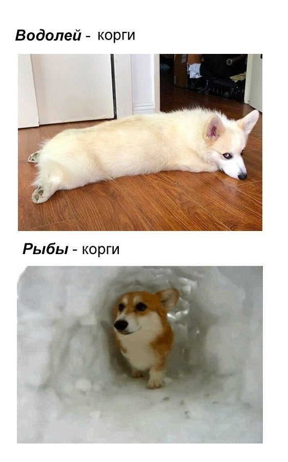  ,   ,   - 6