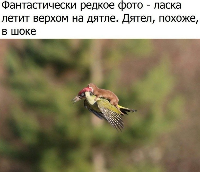 LIFE -  - 6  2020  19:07