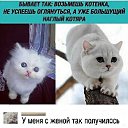 ���� �������, �������, 47 ��� - ��������� 16 ������ 2020 � ������ �����-2�