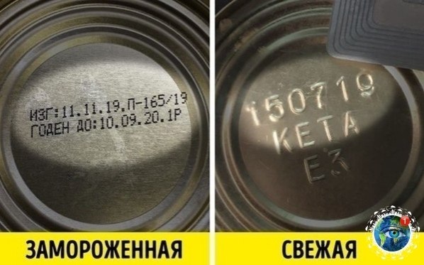 o o o, opa ac oa aece p.  - 4