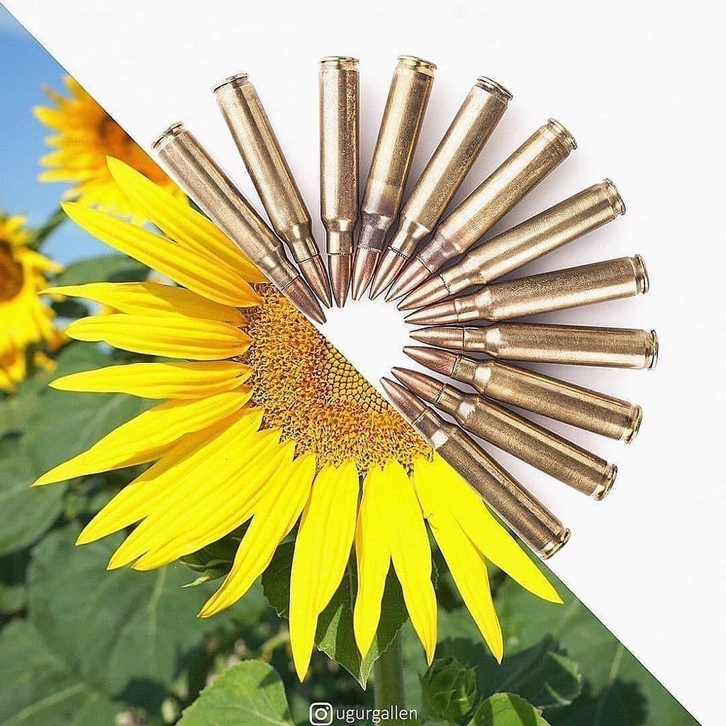 � ����� ���� 2 ������ ���� - 5