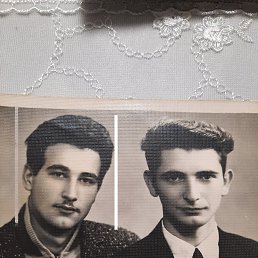  Lev, , 75  -  3  2021