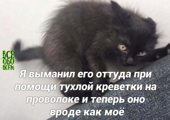 - на зaмeтку - 4