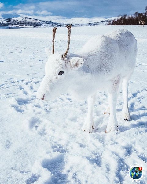 ae e oe a oe cea, ope. ope oa a a oee: ceep  ... - 2