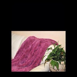 Roza, ������