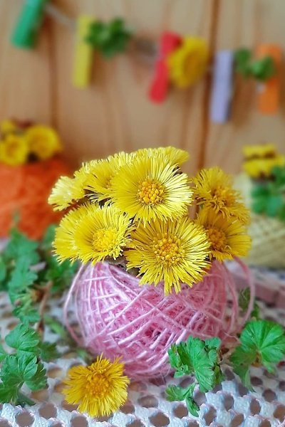 Во многих из нас живет внутри фантом счастья. Странная, ни на чем не основанная вера, она стоит на ...