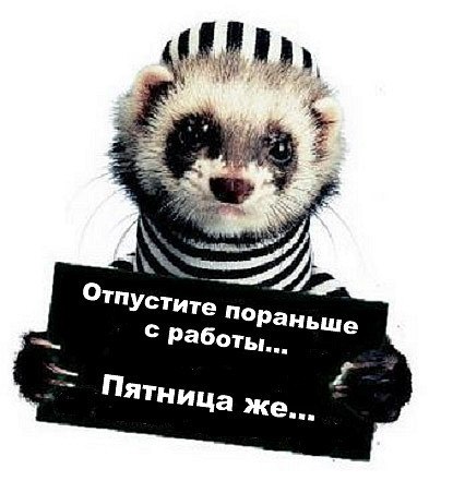  , !)