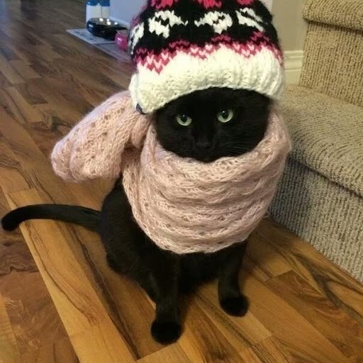    . o,    !
