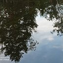 ���� �������, �����-���������, 47 ��� - ��������� 18 �������� 2020 � ������ ���� ����������