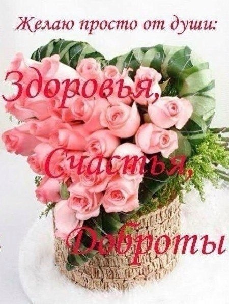   ,    . - 9  2021  13:24 - 7