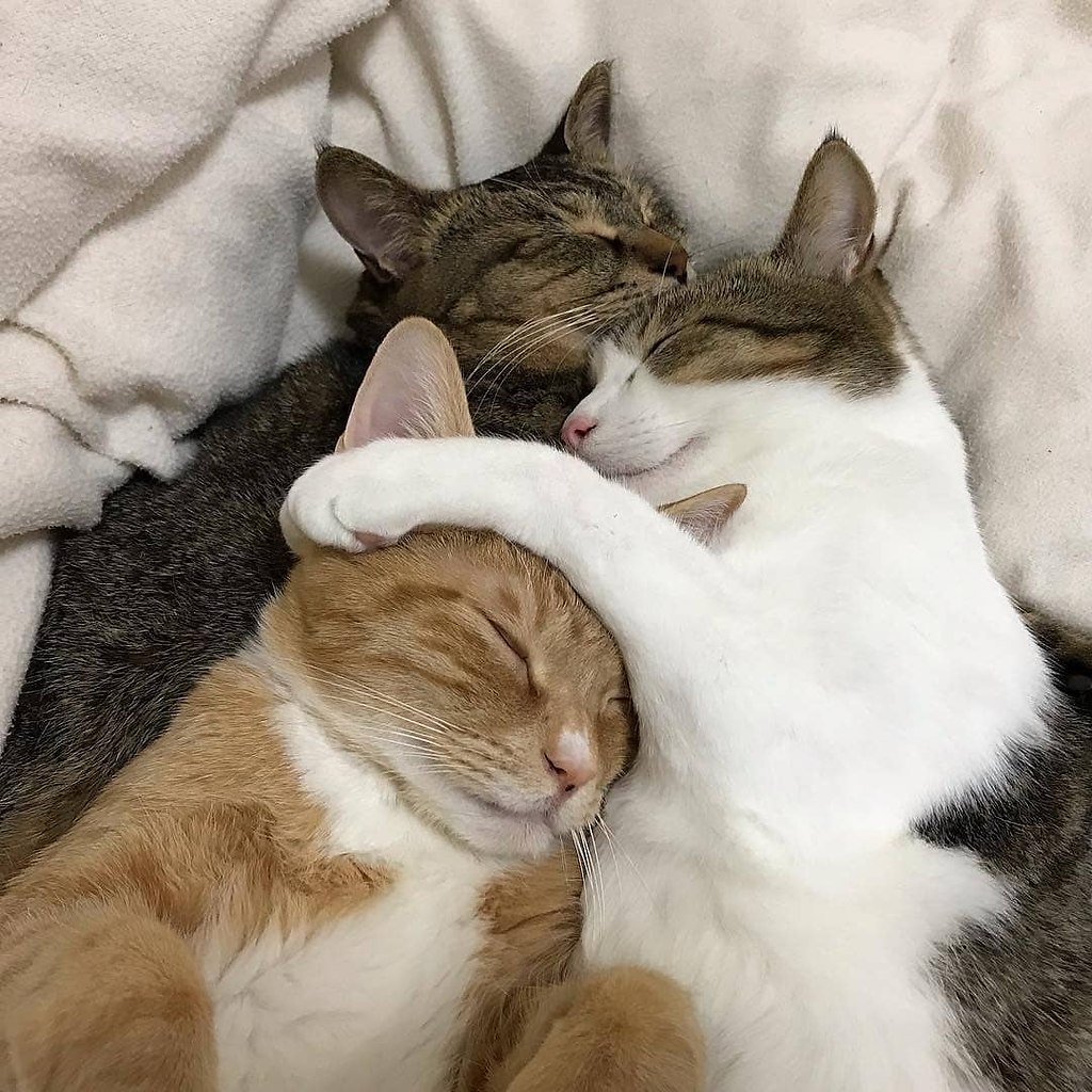       - 5  2020  18:55 - 4