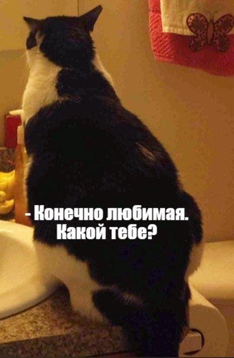       - 21  2021  14:03 - 2