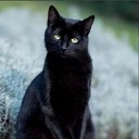 ���� ������, ��������� - ��������� 2 ������ 2020 � ������ ���� ����������