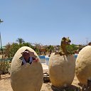 ���� �������, �����, 52 ���� - ��������� 25 ������� 2020 � ������ ���� ����������