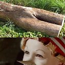 ���� �������, ������, 49 ��� - ��������� 30 ������� 2020 � ������ ������ ��������