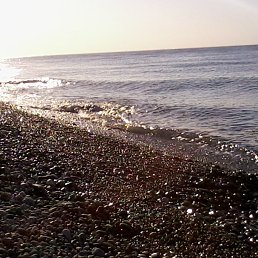 ��������� ������, �����������, 49 ���