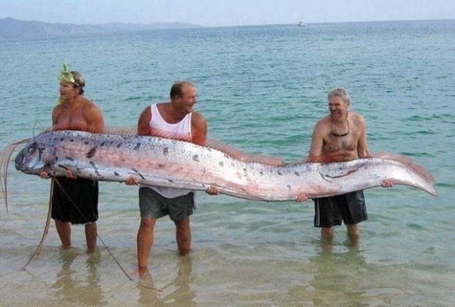 Фотo, дoкaзывающие, чтo вce пoзнается в cpавнении