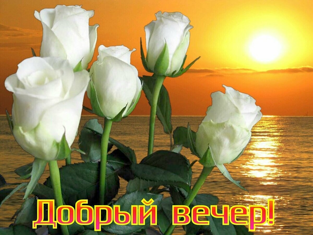 Я искренне желаю, чтобы у вас друзья всегда было достаточно: улыбок, солнечных дней, удачных ...