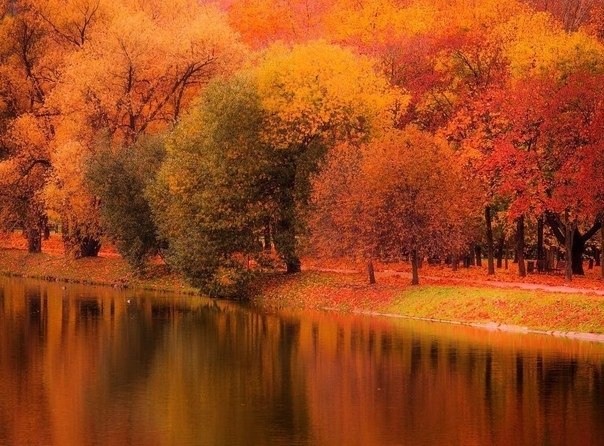 ����������� ����, ��� �����������.������: ���������� �� ����������!