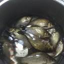 ���� ������� �, �����������, 49 ��� - ��������� 21 ����� 2021 � ������ ���� ����������