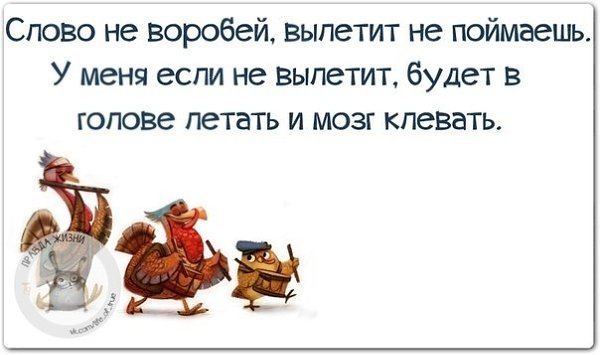 ������ ����� - 7 ����� 2021 � 11:18