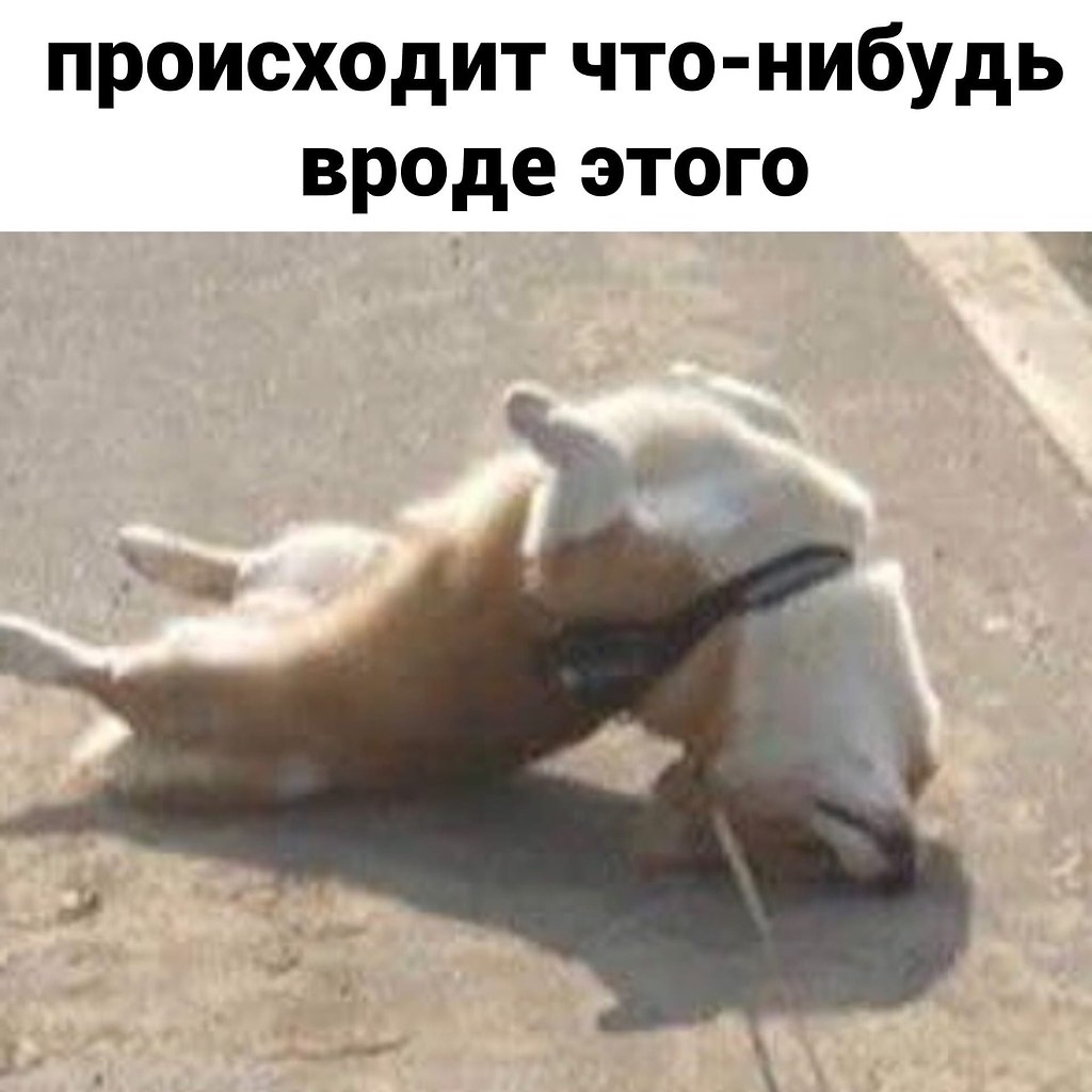  -   )) - 3